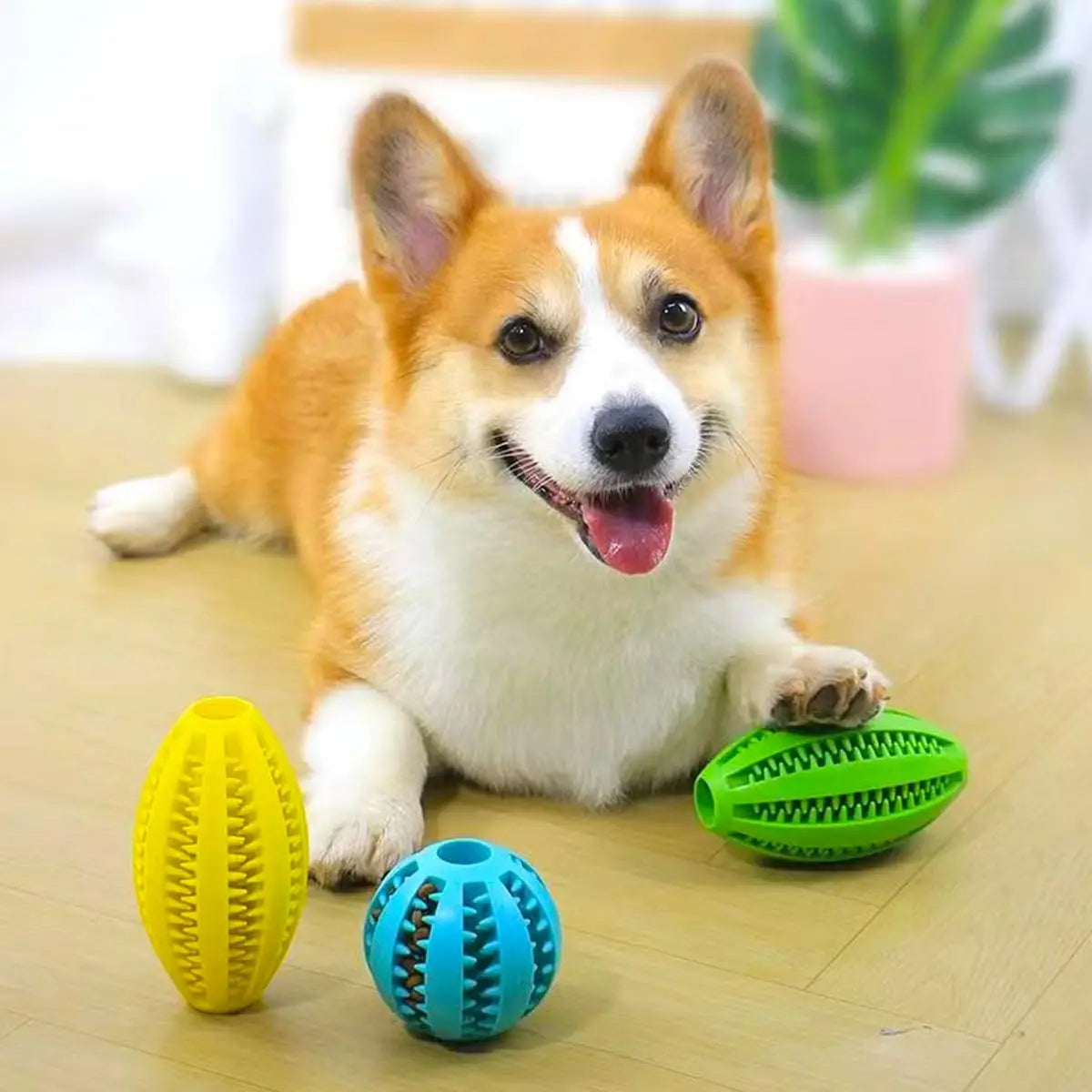 Dog Chew Snack Ball